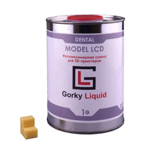 Gorky Liquid Dental Model